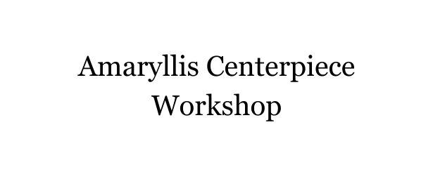 Amaryllis Centerpiece Workshop