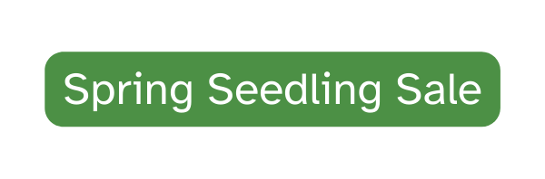 Spring Seedling Sale